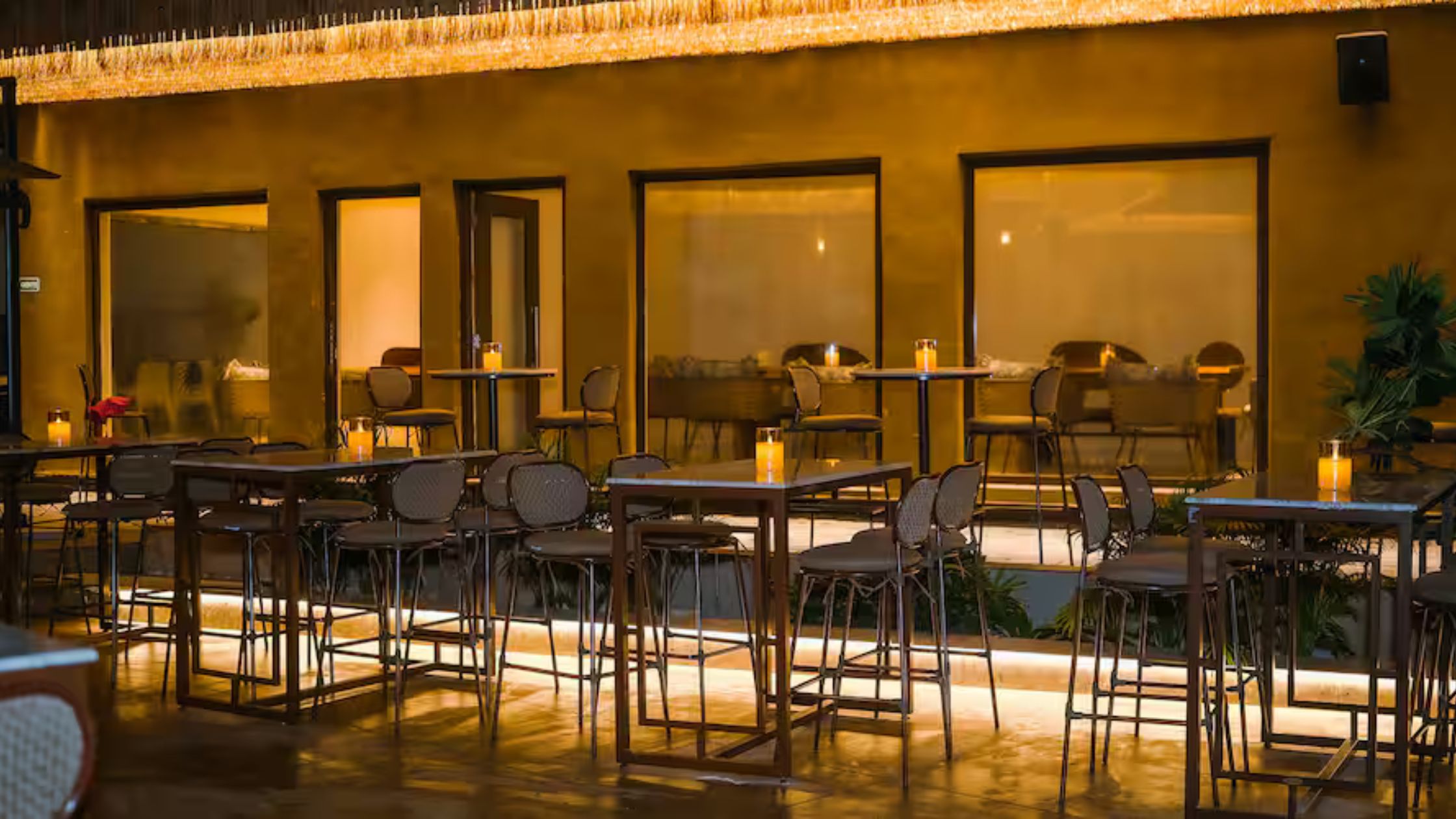 Dorsia, Gurugram